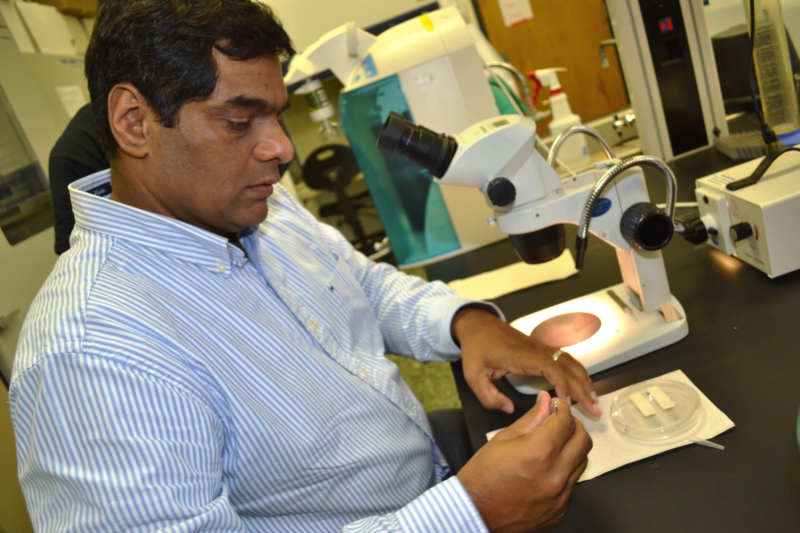 USM’s Dr. Shahid Karim Receives Grant for Research on Infectious Disease