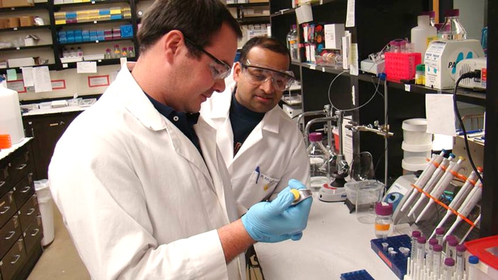 USM Researcher, Dr. Rangachari is Awarded an R01 for his research on Alzheimer’s Disease