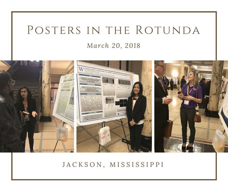Four Mississippi INBRE Scholars present research at Posters in the Rotunda